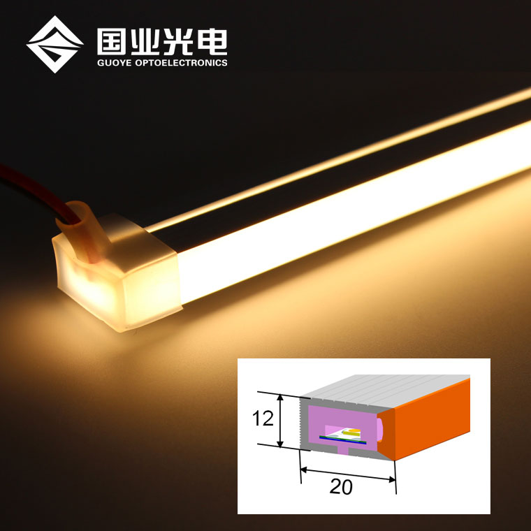 Lampu strip dipimpin neon